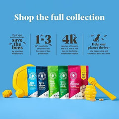 Frisbee for Dogs - Dog disc - Great for Fetch