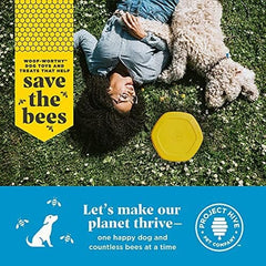 Frisbee for Dogs - Dog disc - Great for Fetch