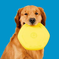 Frisbee for Dogs - Dog disc - Great for Fetch