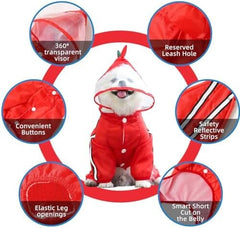 Frog Design Dog Raincoat with Hood and Leash Hole