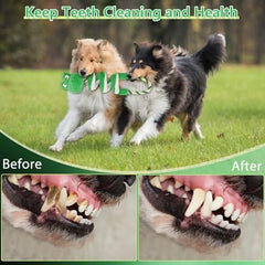 Frog Interactive Squeaky Dog Toys with Pull Rope