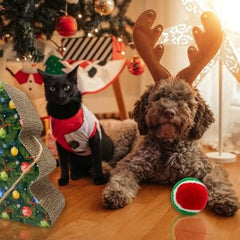 Holiday Themed Scratcher Pad with Catnip