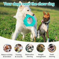 Indestructible Dog Chew Ring Toys for Aggressive Chewers