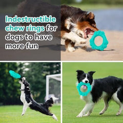 Indestructible Dog Chew Ring Toys for Aggressive Chewers