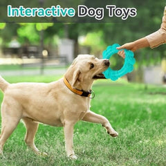 Indestructible Dog Chew Ring Toys for Aggressive Chewers