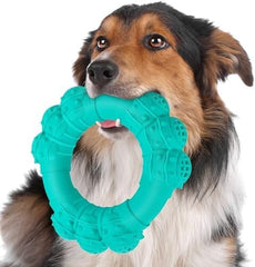 Indestructible Dog Chew Ring Toys for Aggressive Chewers