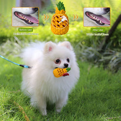 Indestructible Dog Toys for Large Dogs