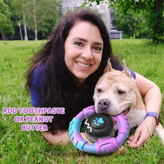 Indestructible Squeaky Dog Chew Toys to Keep Them Busy