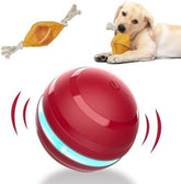 Interactive Dog Balls with Motion Activated