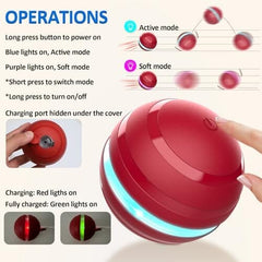 Interactive Dog Balls with Motion Activated