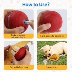 Interactive Dog Balls with Motion Activated