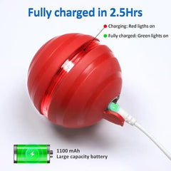 Interactive Dog Balls with Motion Activated