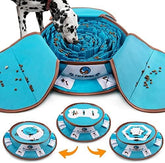 Interactive Dog Enrichment Games for Boredom Encourage Natural Foraging Skills
