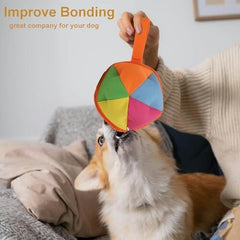 Interactive Dog Toy for All Breeds Size with Storage Bag