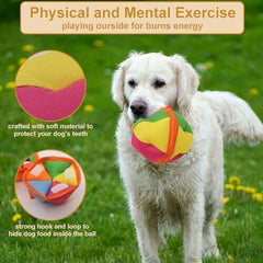 Interactive Dog Toy for All Breeds Size with Storage Bag