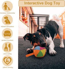 Interactive Dog Toy for All Breeds Size with Storage Bag