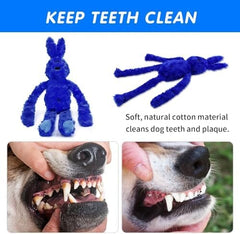 Interactive Dog Toy with Crinkle and Squeaky
