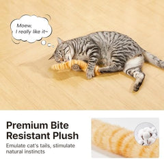 Interactive Indoor Kitten Kicker for Kitty Exercise 9.8 Inches