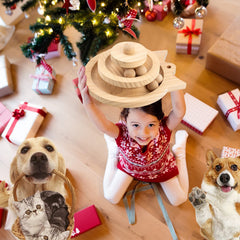 Interactive Kitten Toy Roller Tracks with Wooden Moving Balls Catnip Pet Play Toy