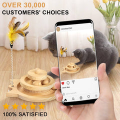 Interactive Kitten Toy Roller Tracks with Wooden Moving Balls Catnip Pet Play Toy