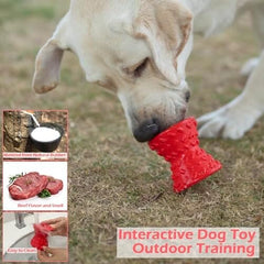 Interactive Treat Dispensing Dog Toys