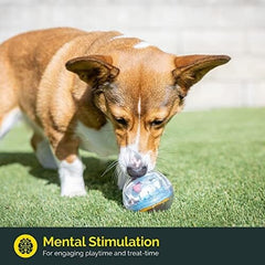 IQ Treat Ball Interactive Dog Ball