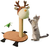Kitten Scratcher with Feather Toy