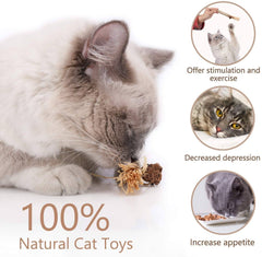 Kitten Teething Chew Toy for Aggressive chewers