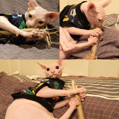 Kitten Teething Chew Toy for Aggressive chewers