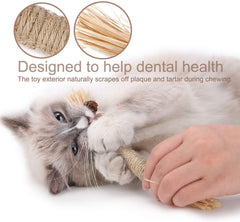 Kitten Teething Chew Toy for Aggressive chewers