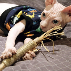 Kitten Teething Chew Toy for Aggressive chewers