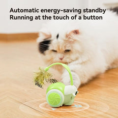 LED Lights Interactive Remote Control Dog Toy