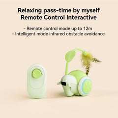 LED Lights Interactive Remote Control Dog Toy