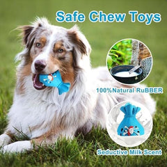 Loot Bag Interactive Dog Toys