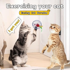 Metal Cage with Colourful Plush Mouse Toys