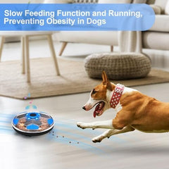 Mind Stimulating Food Game Dog Treat Toy for Dogs