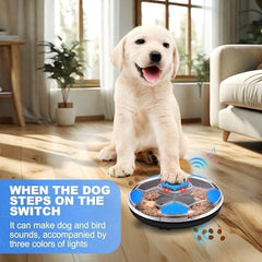 Mind Stimulating Food Game Dog Treat Toy for Dogs