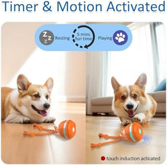 Motion Activated Dog Ball Automatic Rolling Ball Toys for Puppy