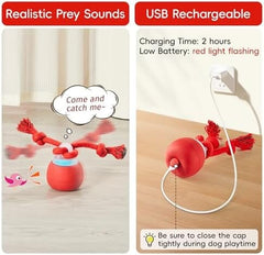 Moving Wicked Ball for Pup with Rope