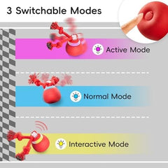 Moving Wicked Ball for Pup with Rope