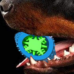 Natural Rubber Bite Resistant Dog Toothbrush Toy