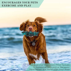 Natural Rubber Durable Toy with Unique Shark Design