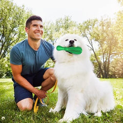 Natural Rubber Tough Hard Dog Interactive Toys