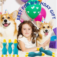 Noise Maker Latex Rubber Pet Squeaky Screamming Chicken Dog Toys