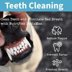 Noise Maker Latex Rubber Pet Squeaky Screamming Chicken Dog Toys