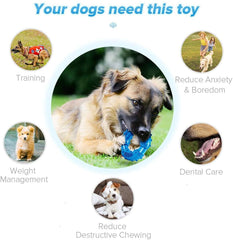 Non-Toxic Natural Rubber Indestructible Dog Toys