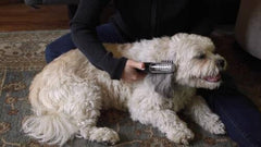 Painlessly Removes Knots & Tangles from Long Haired Dogs
