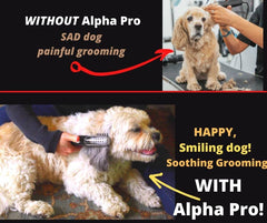 Painlessly Removes Knots & Tangles from Long Haired Dogs