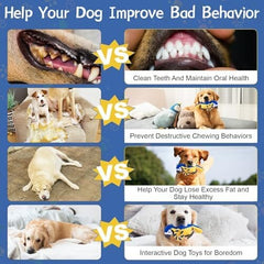 Parrot Perfect for Tug of War & Puppy Teething