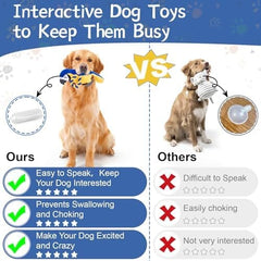 Parrot Perfect for Tug of War & Puppy Teething